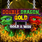 Double Dragon Gold: Hold & Win